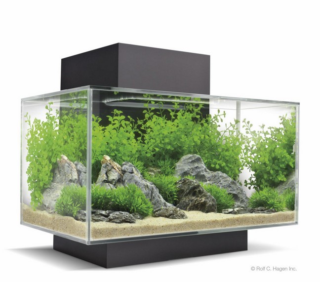 Aquarium 200 Gallons A Vendre