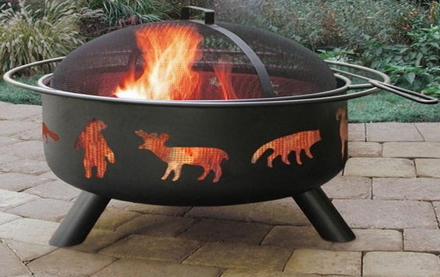 Coleman fire pit