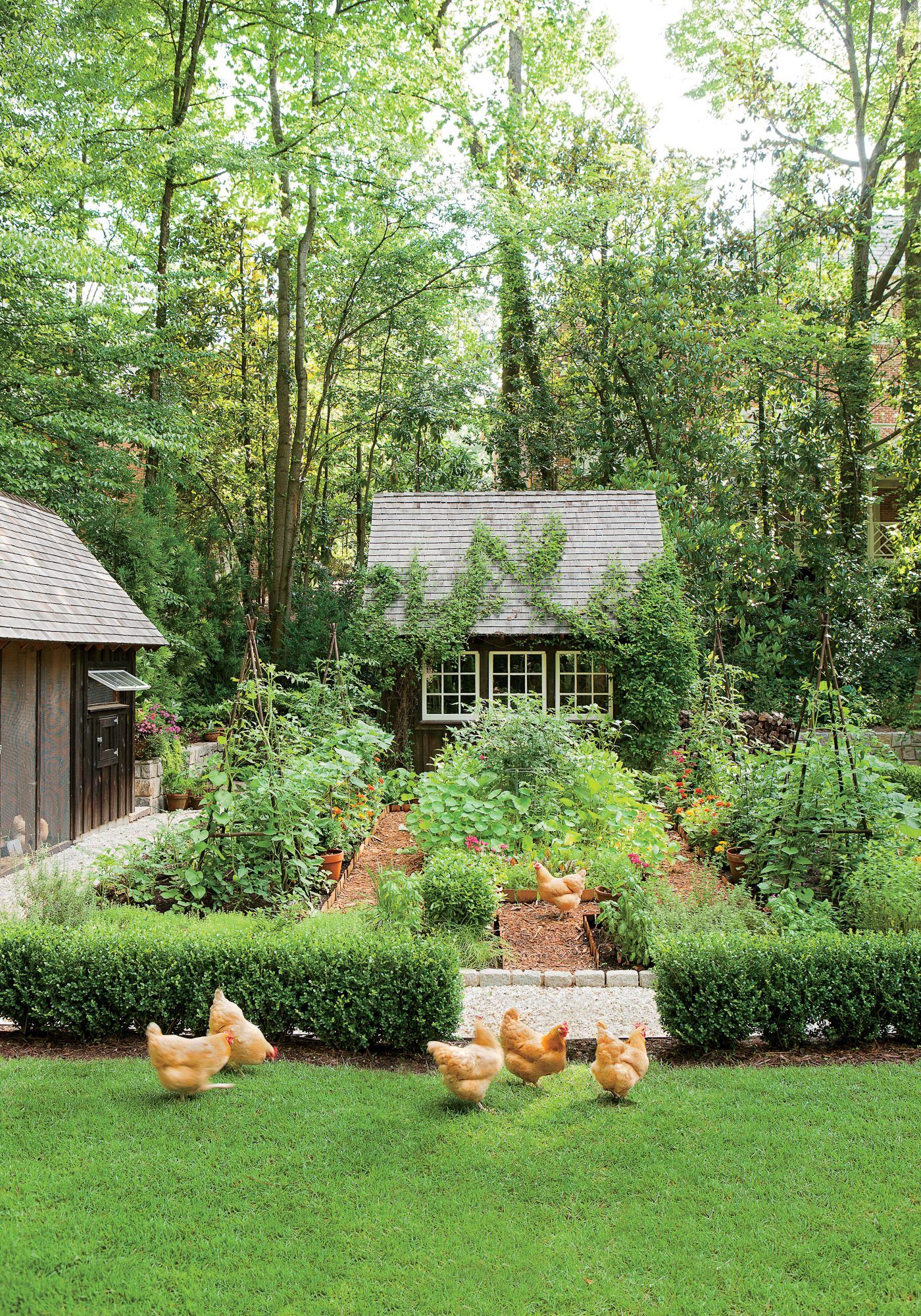 Setup a Backyard Garden