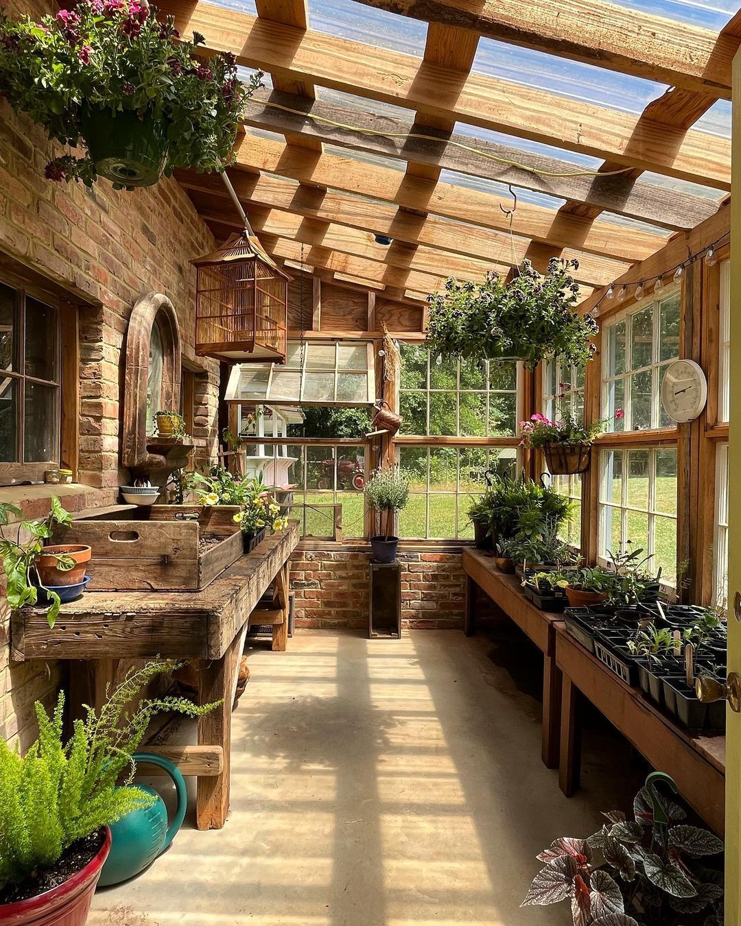 Set up Backyard Greenhouses to
grow vegetables