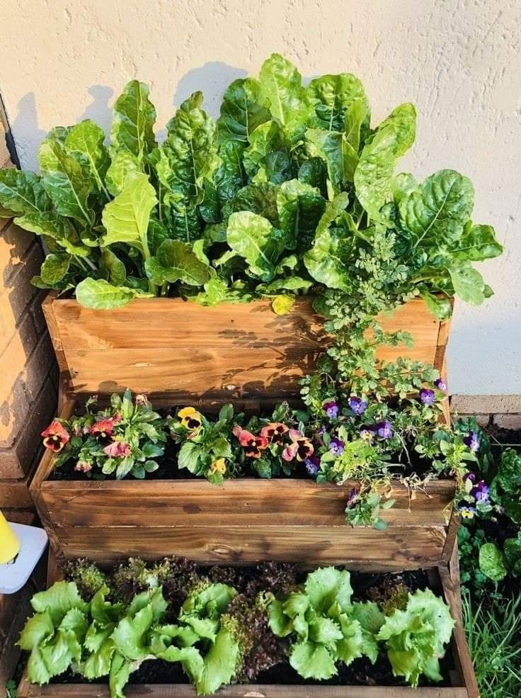 Get to Know Some Balcony Garden Ideas you can make for your Garden