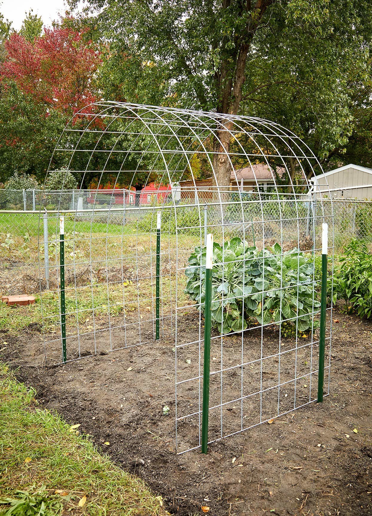 Creative Garden Trellises Uses