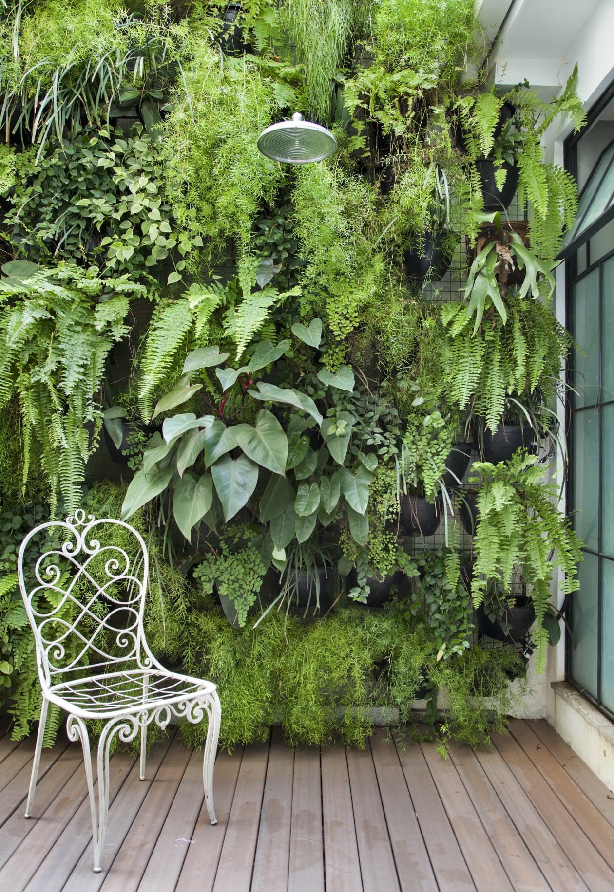 Why you should have a garden
wall in your garden