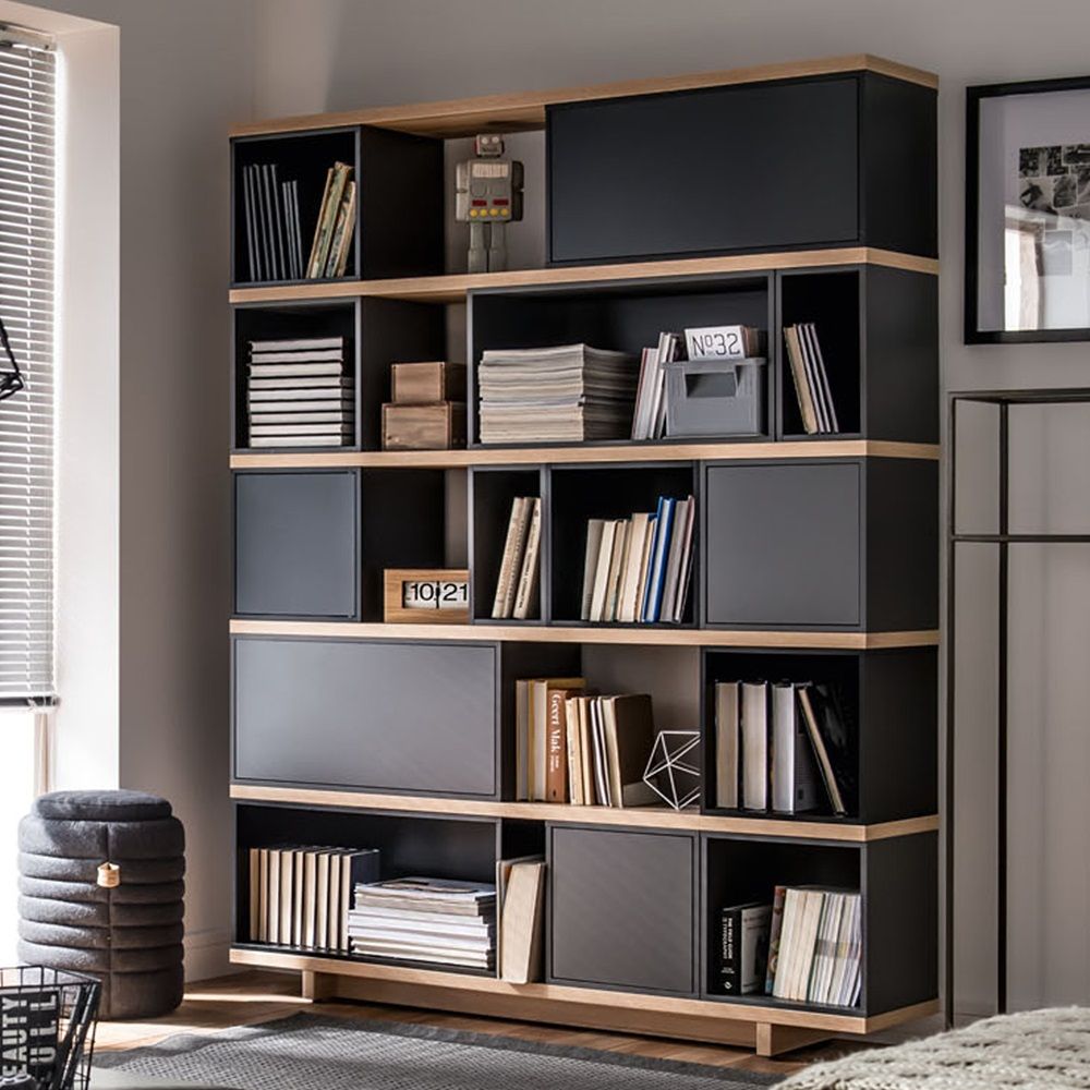 Modern Bookcase for Your  Trendy Home Interior