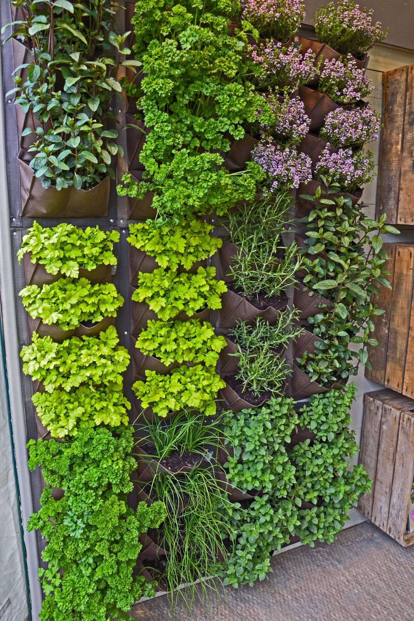 How to make a Perfect Patio
Garden