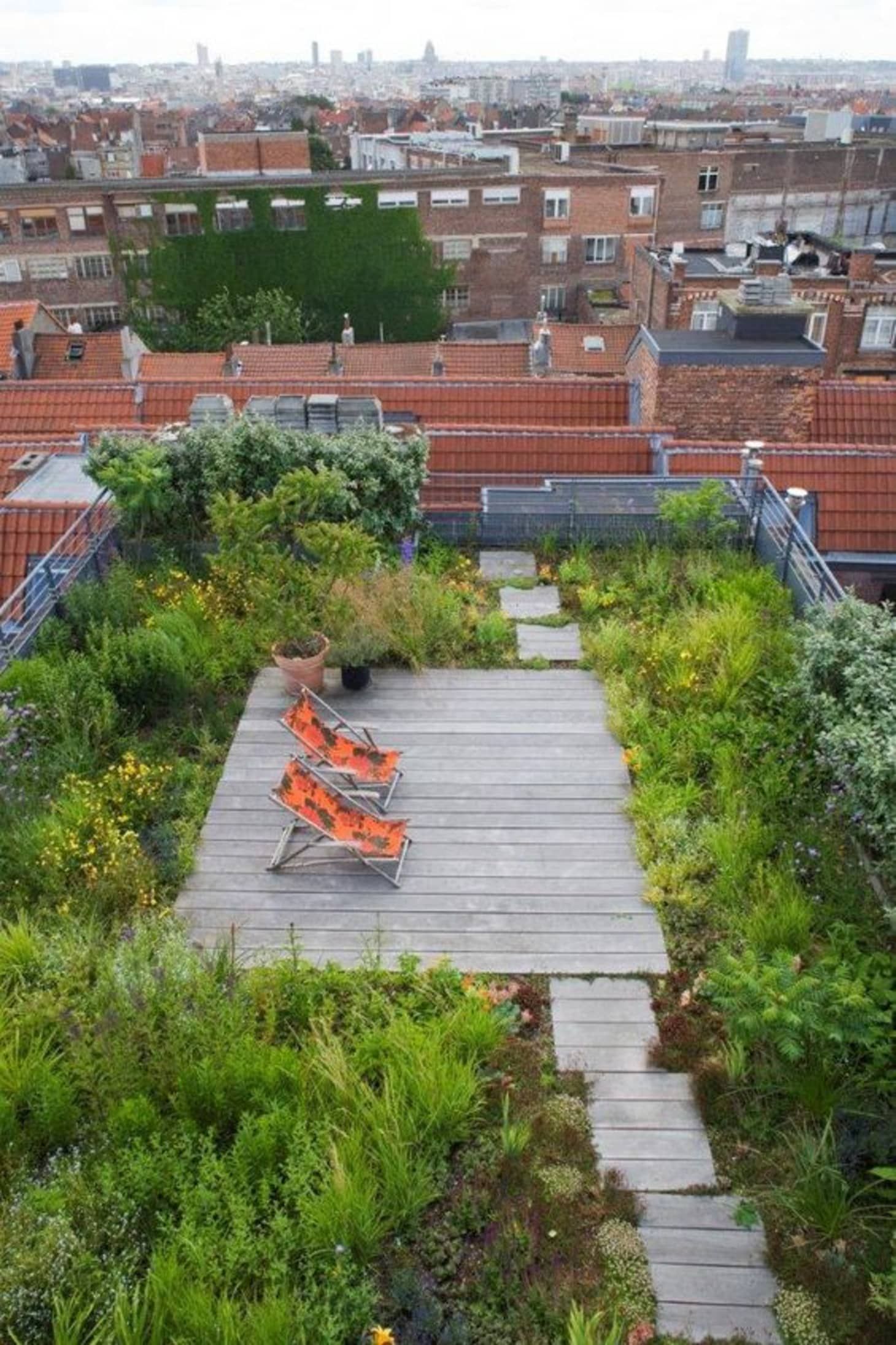 Make a Roof Garden for your
Office Top Décor