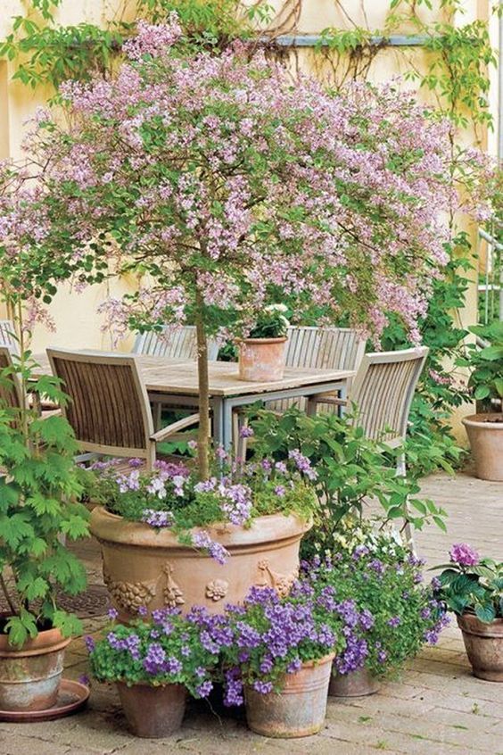 Small garden design ideas that
every garden can utilize