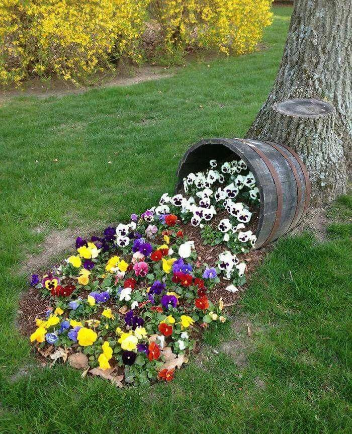 Have Flower Beds and add
colour to your Home