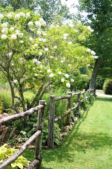 Benefits Of Garden Fence Ideas