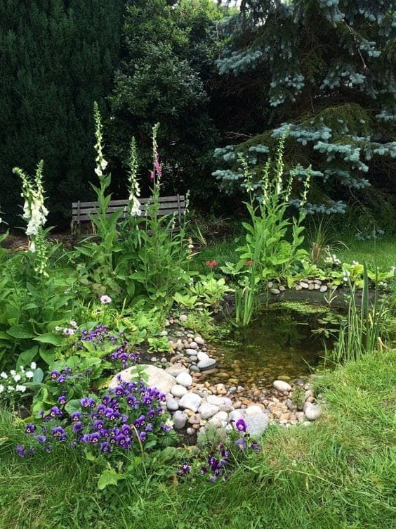 Use of garden Pond and Its
benefits