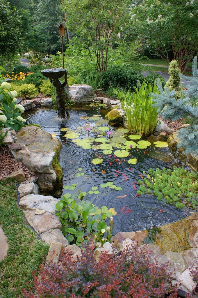 Process of adorning your
living environment with garden ponds