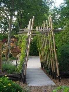 1699710540_Garden-Trellises.jpg