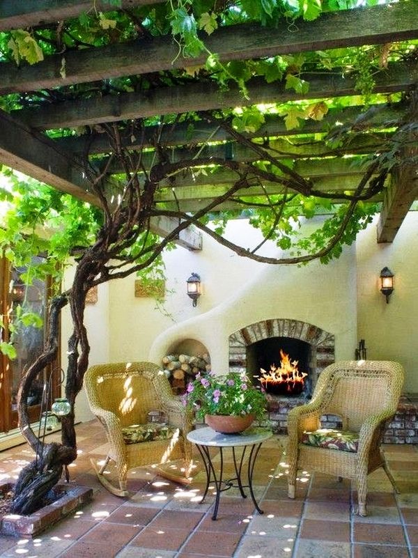 Why you should build grape
arbor