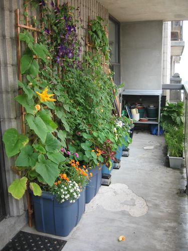 How to make a Perfect Patio
Garden