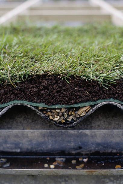 Make a Roof Garden for your
Office Top Décor