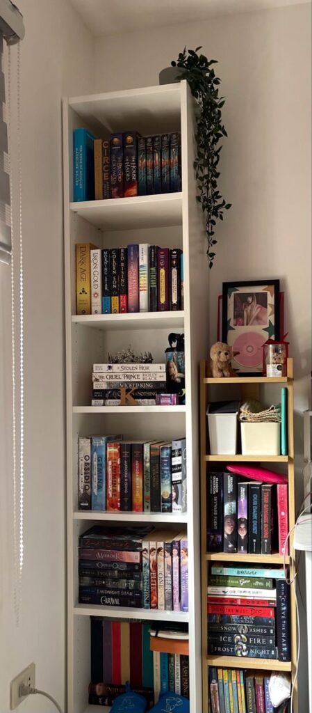 1699713268_small-bookshelf.jpg