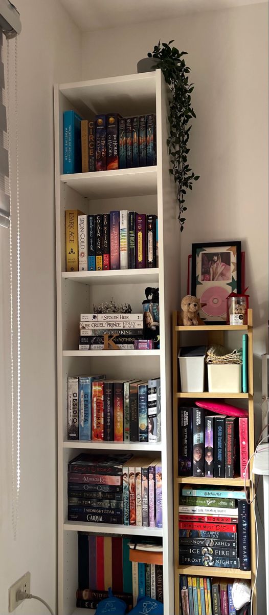 Advantages of a small
bookshelf