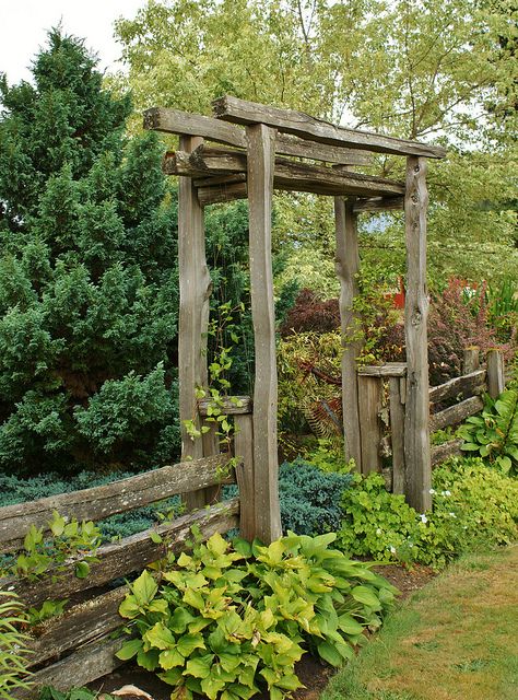 The process of adorning your
garden with wooden garden arches