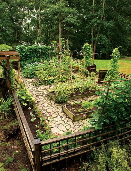 Backyard Bliss: Exploring Backyard Garden
Ideas