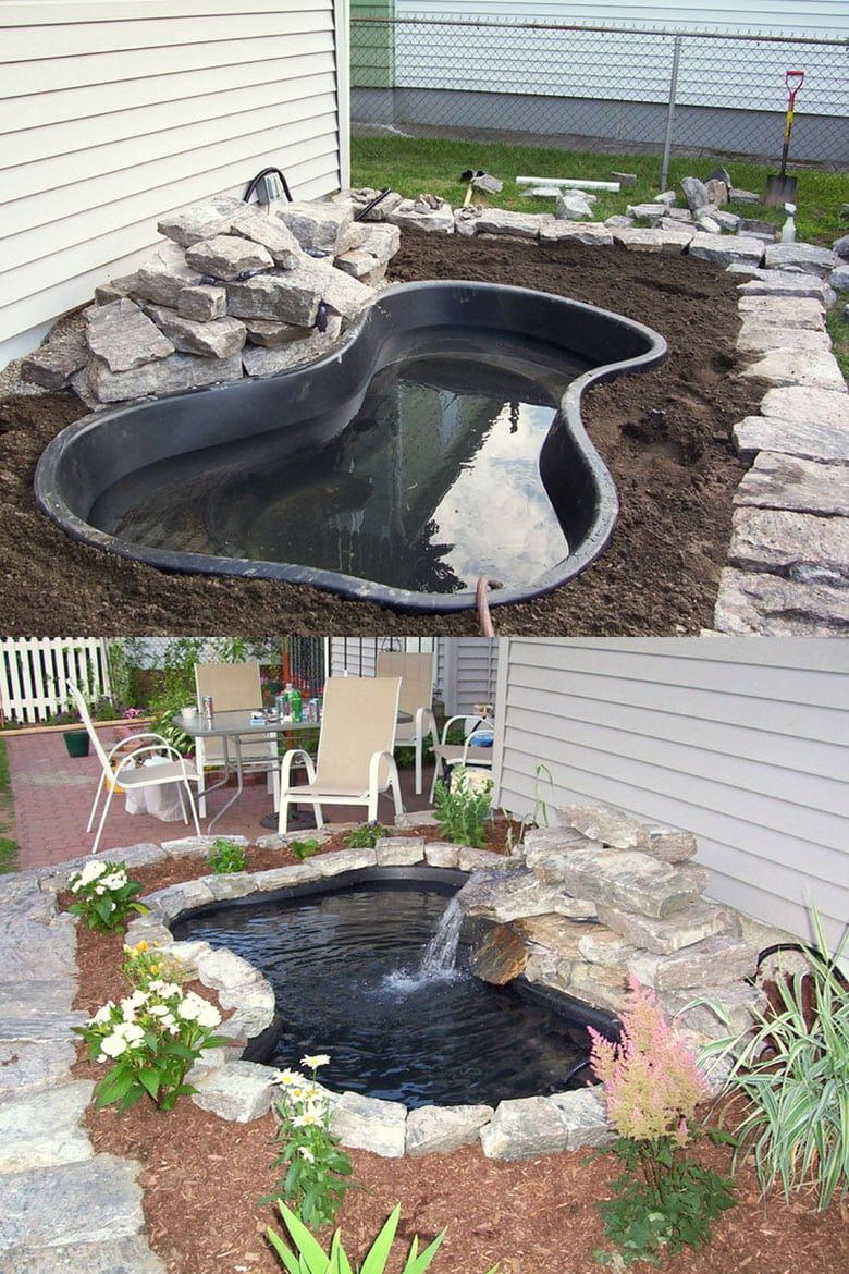 The importance of backyard
ponds