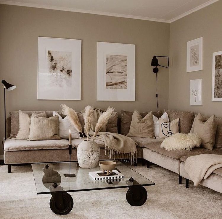 The brown living room ideas