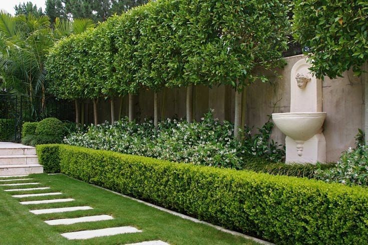 The Benefits of Garden Hedges