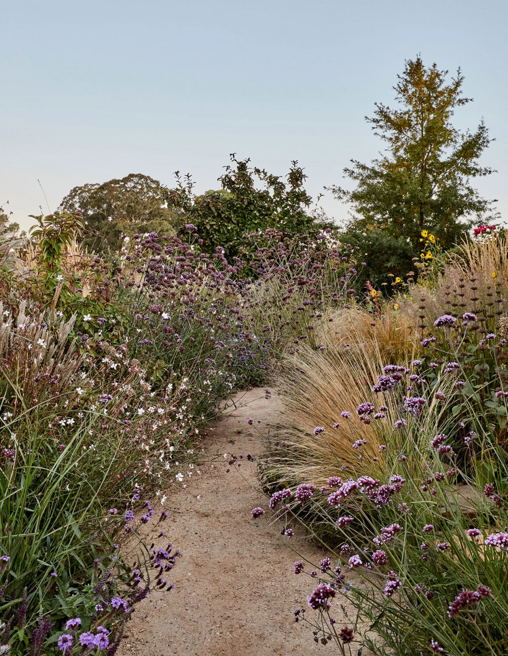 Get Cool Fresh Vegetables and
Air with Garden Landscape