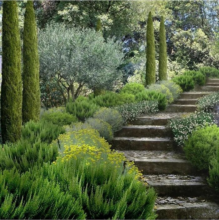 The Beauty of Having a
Landscape Design for your Home