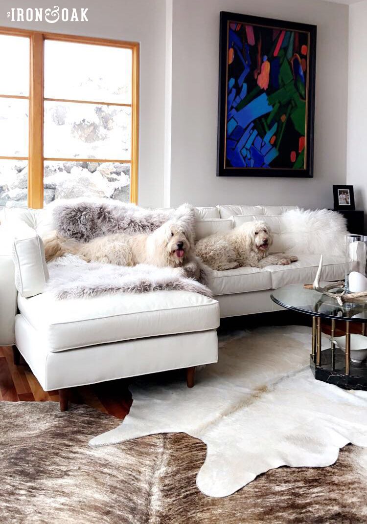 How to Keep the White Leather Sofa