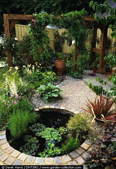 Creating Tranquility: Backyard Pond
Design Inspiration