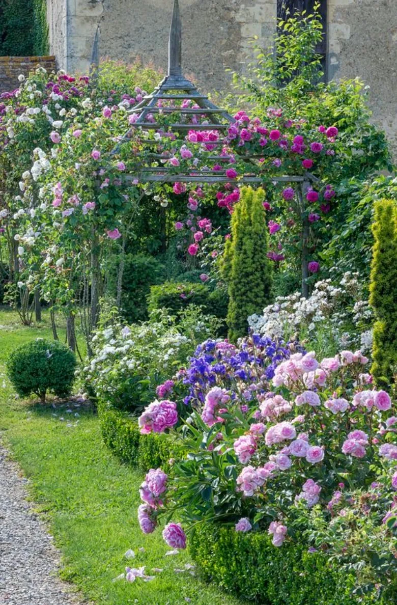 How Country Life Influence
Country Gardens