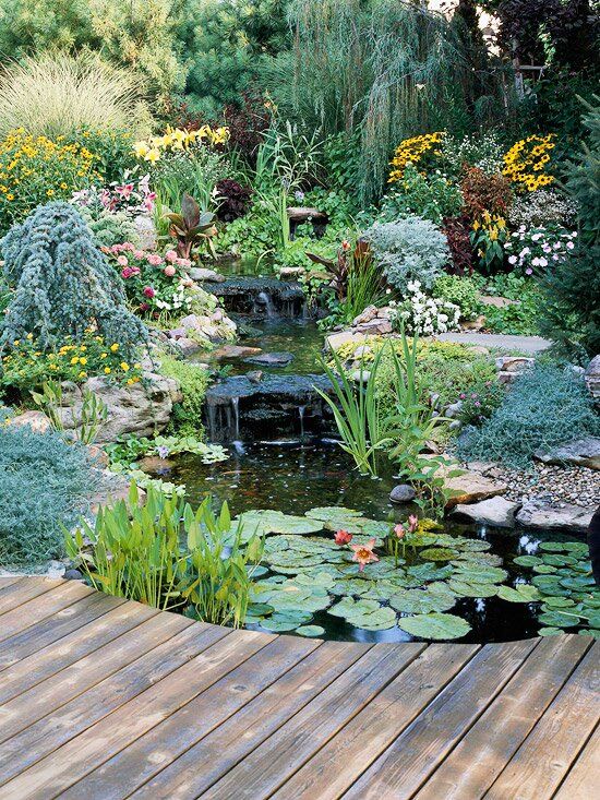 Use of garden Pond and Its
benefits