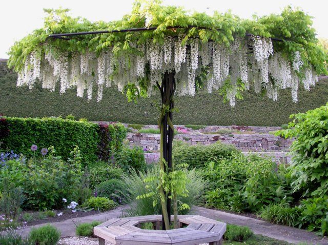 Make your Patio Attractive by
Using a Colorful Garden Umbrella