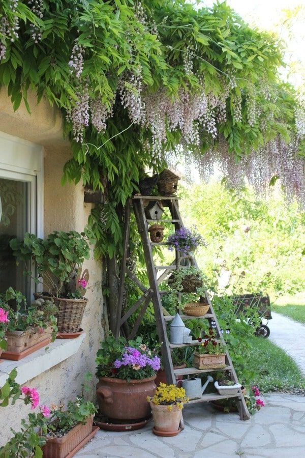 Decorate The Exterior Of Your
Home With Landscaping Ideas