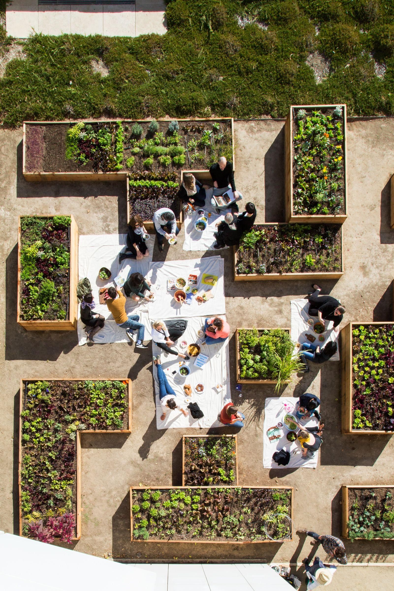 Make a Roof Garden for your
Office Top Décor