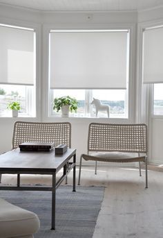 Elegantly Timeless White
Blinds