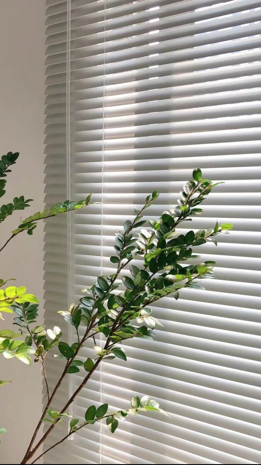 The best pace to make purchase
of aluminum blinds