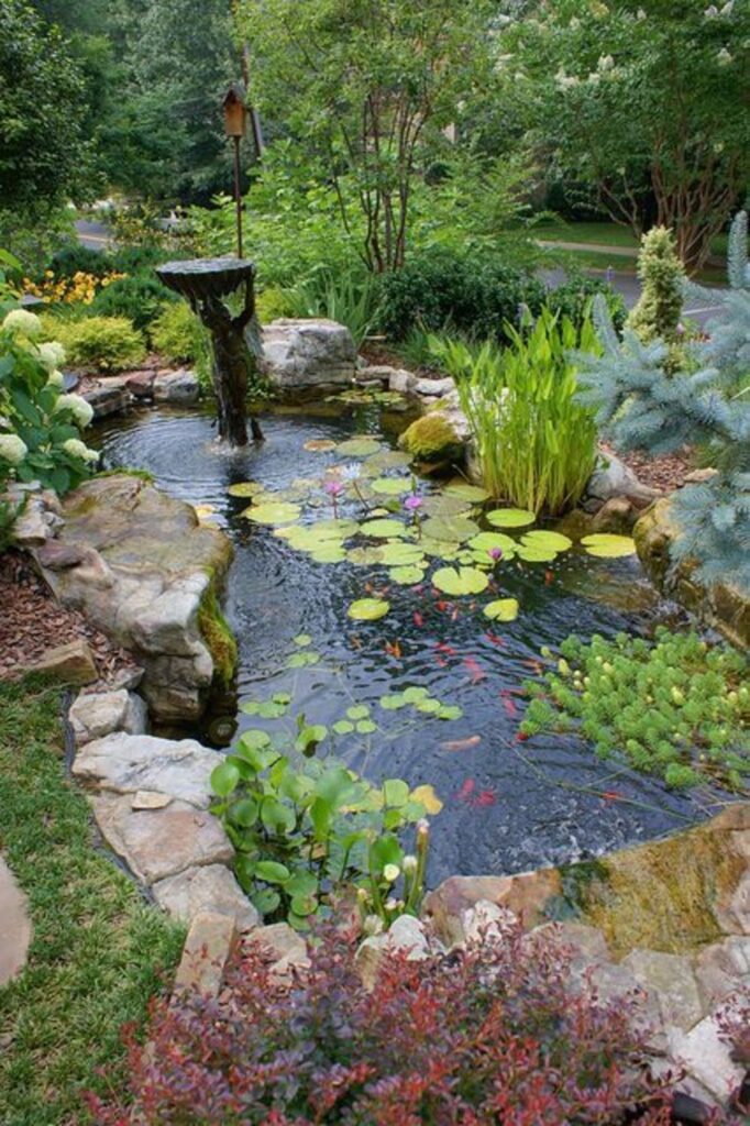 1699729195_backyard-ponds.jpg