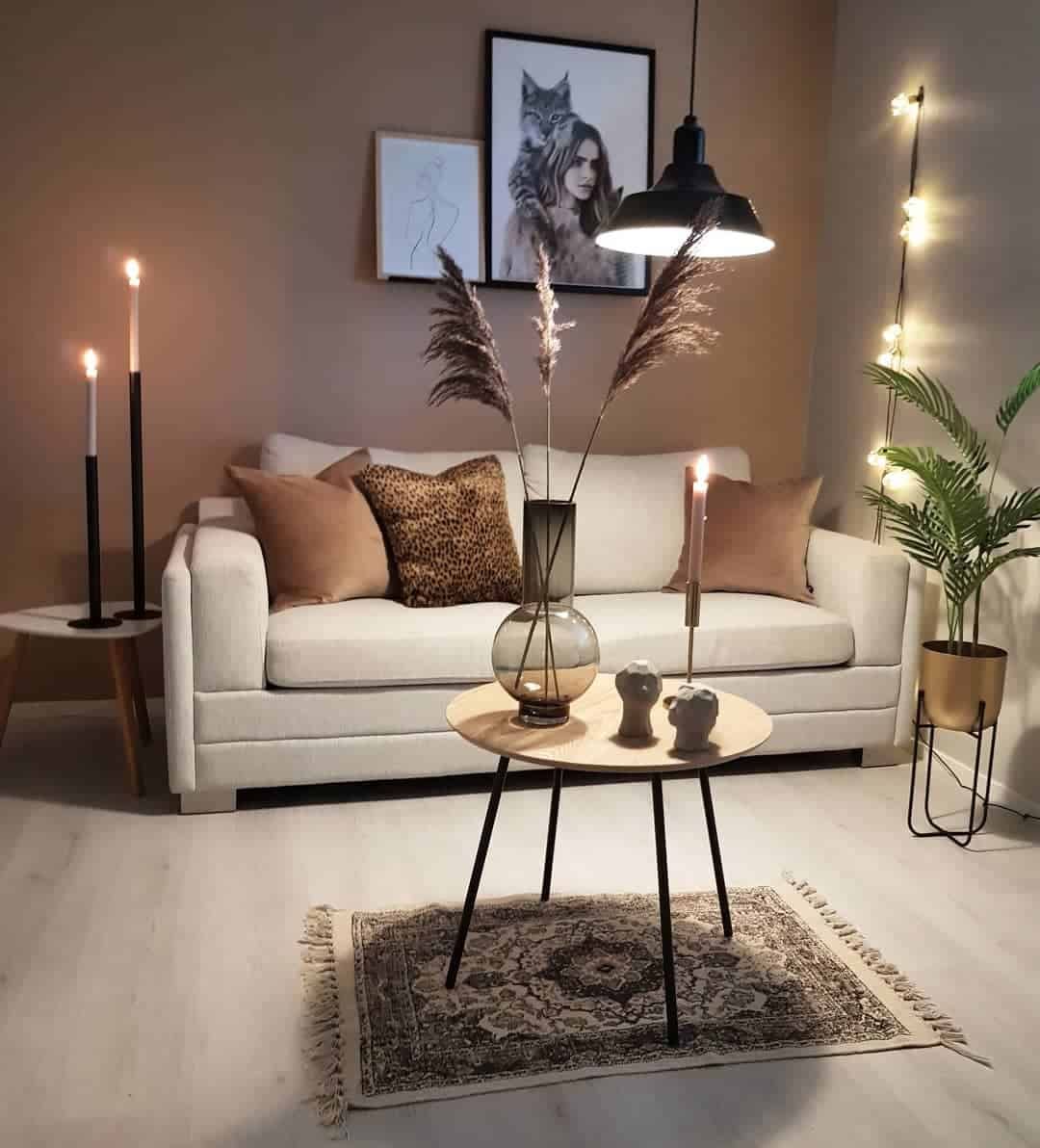 The brown living room ideas