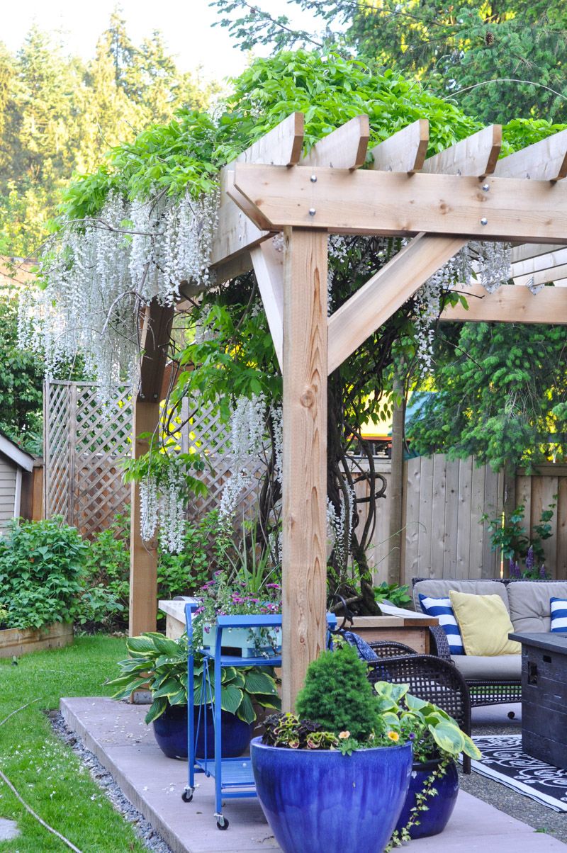 How to build a Cedar pergola