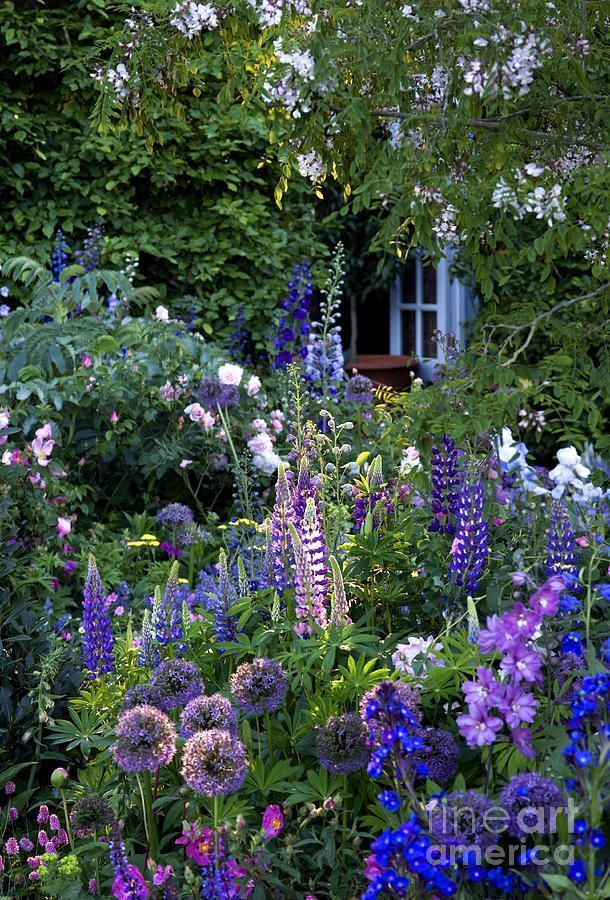 Create a Picturesque Landscape
with Cottage Gardens