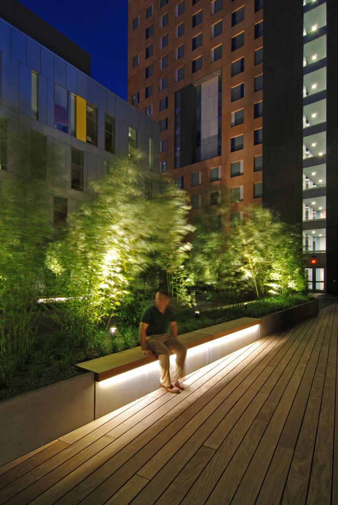 Why you should have landscape
lighting in your garden