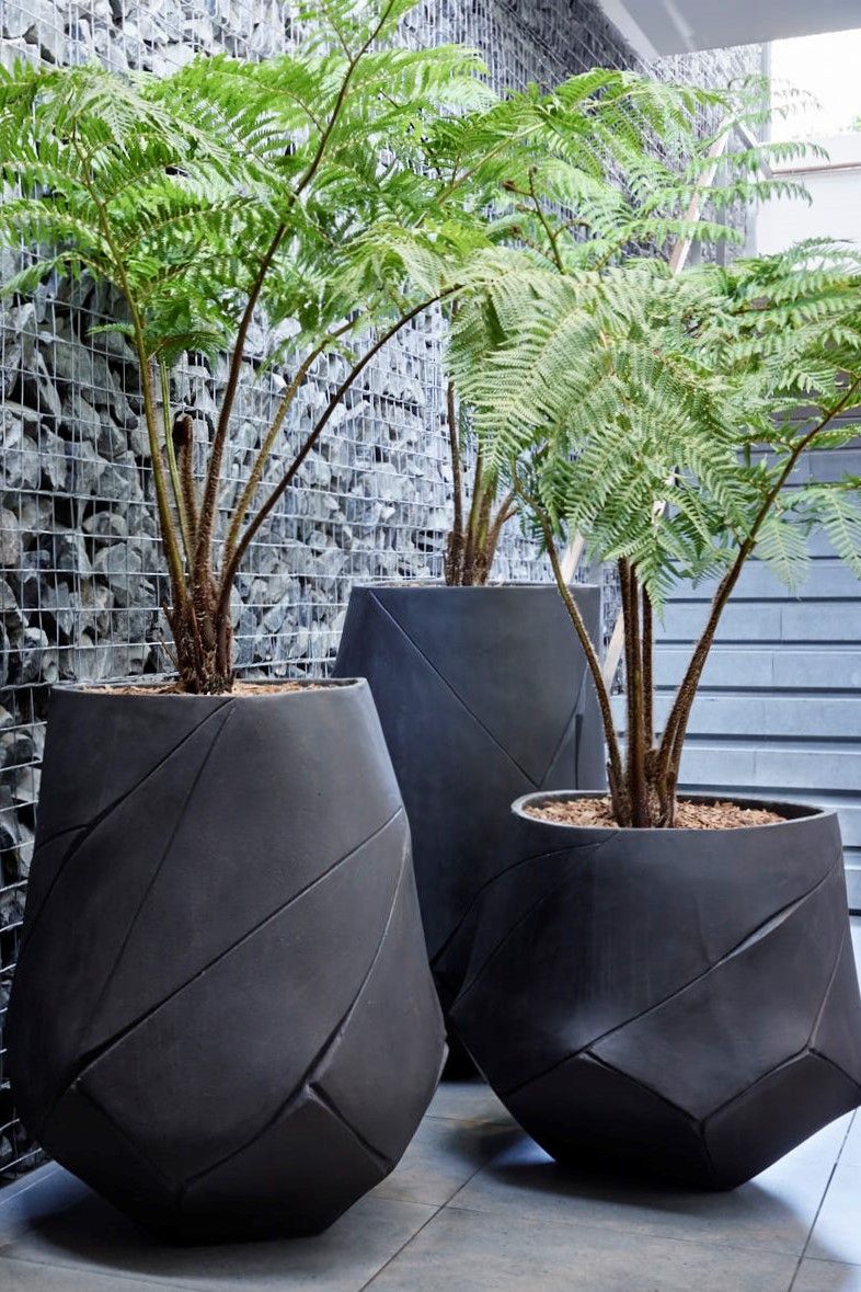 Different types of large
garden pots