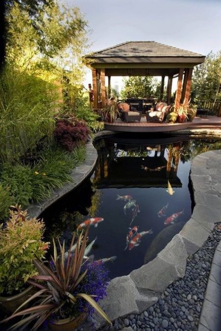 Great pond design ideas for
your garden