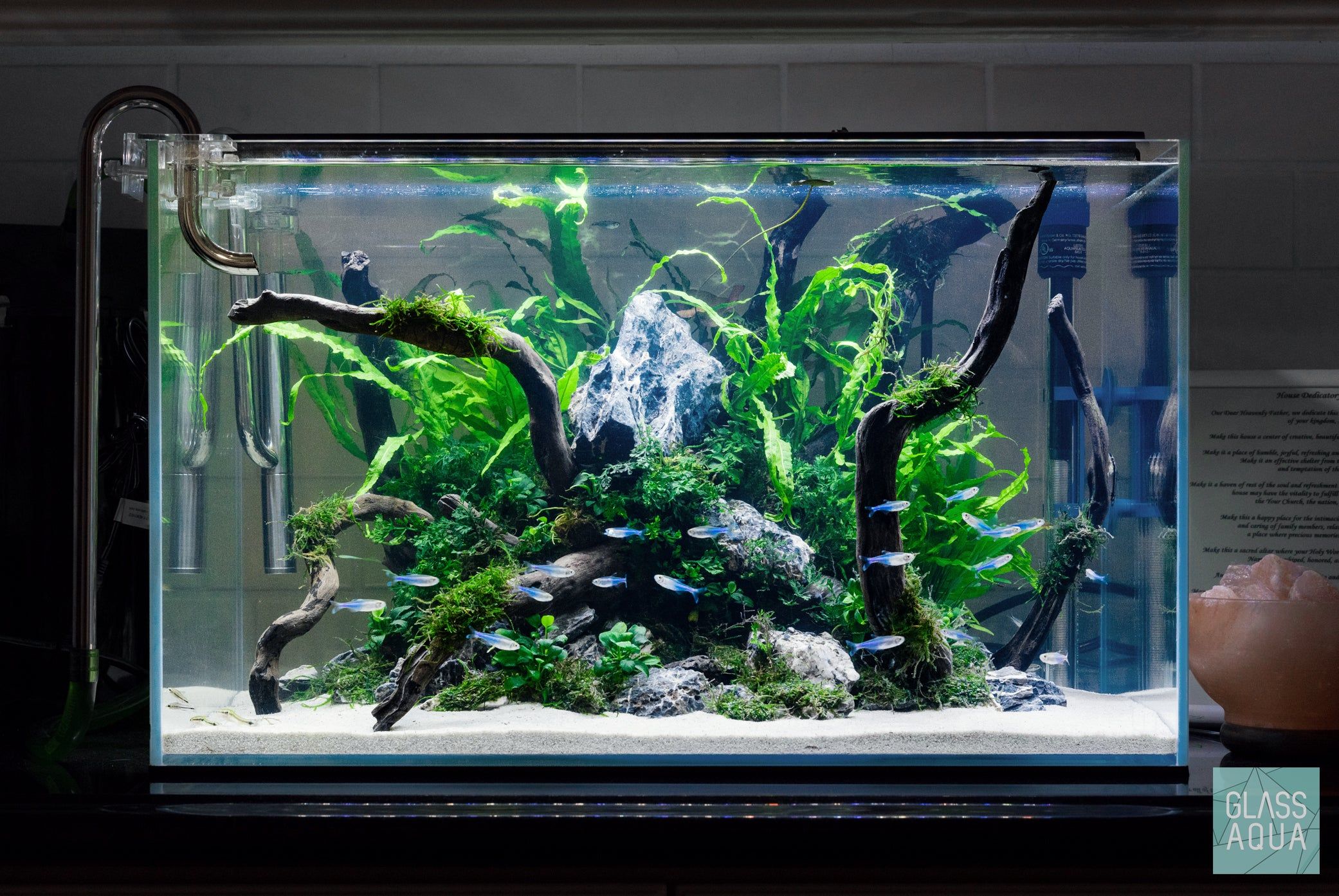 Rimless Aquarium – Buying Guide