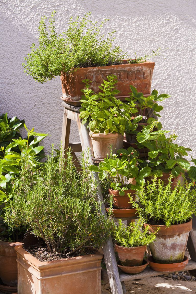 Some unique Small garden
ideas?