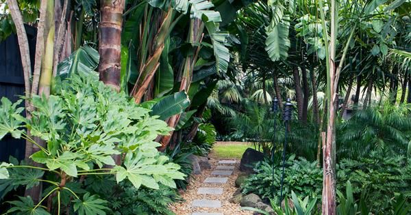 Tropical Landscaping For Exotic Retreat