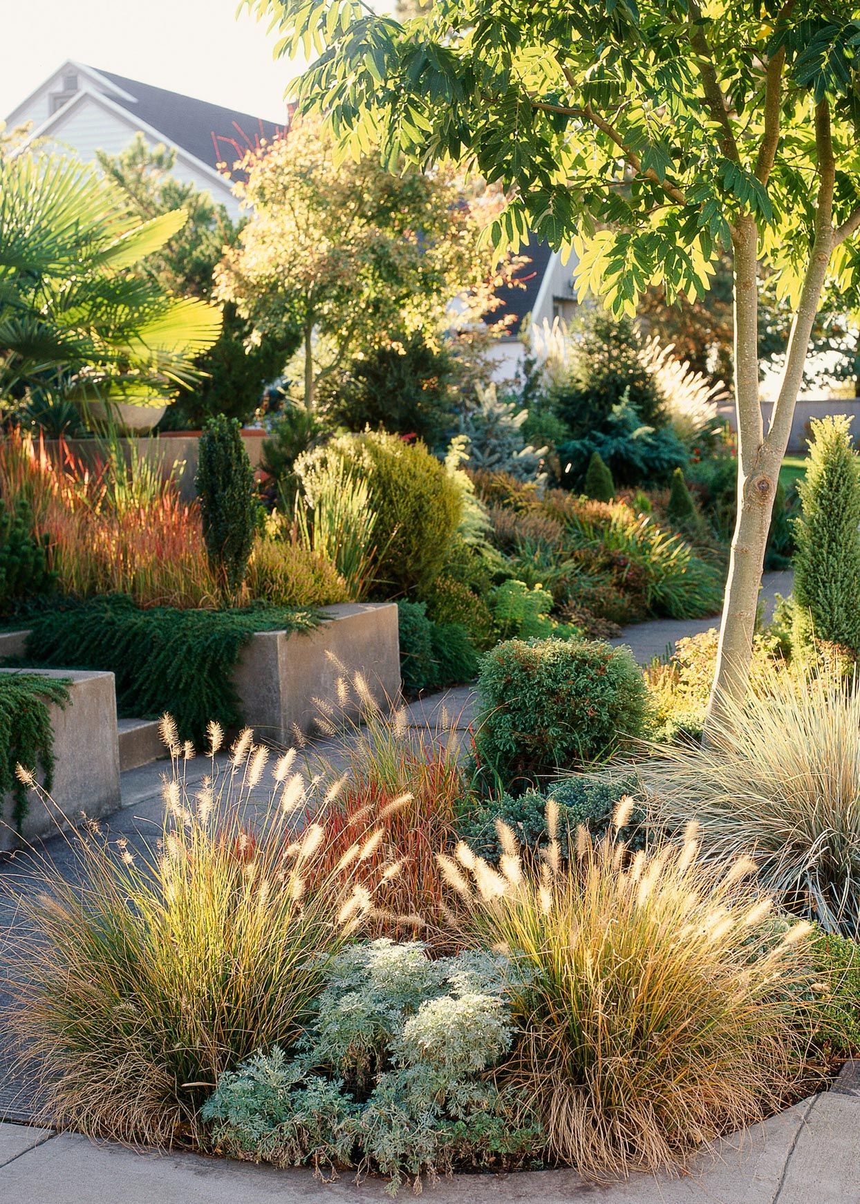 Transforming Backyards: Exploring
Backyard Landscaping Ideas