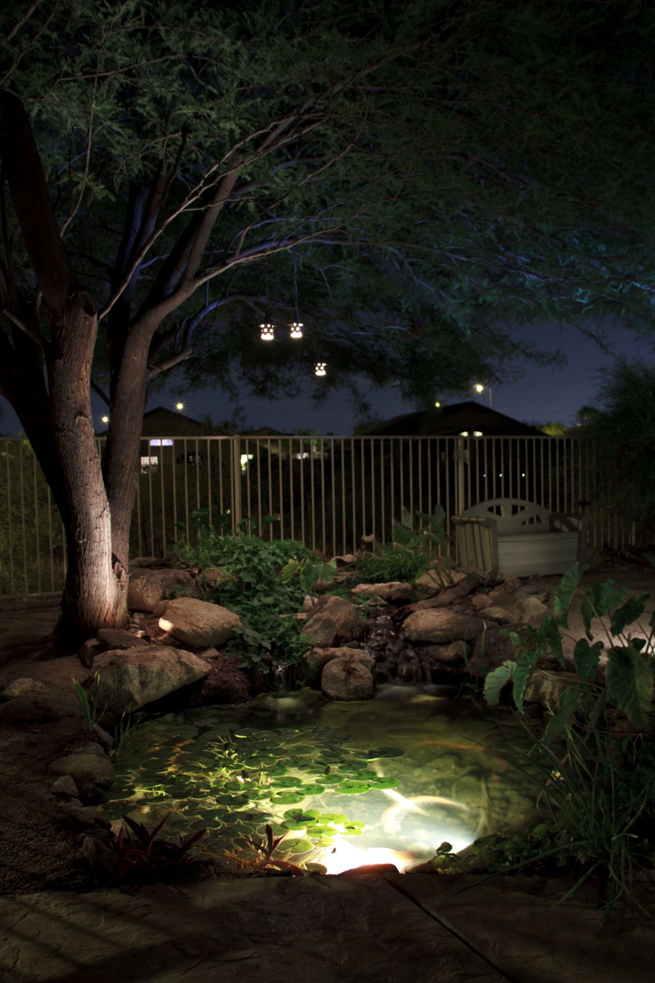 Add the Natural Beauty of
Nature to your Home by Adding a Backyard Pond