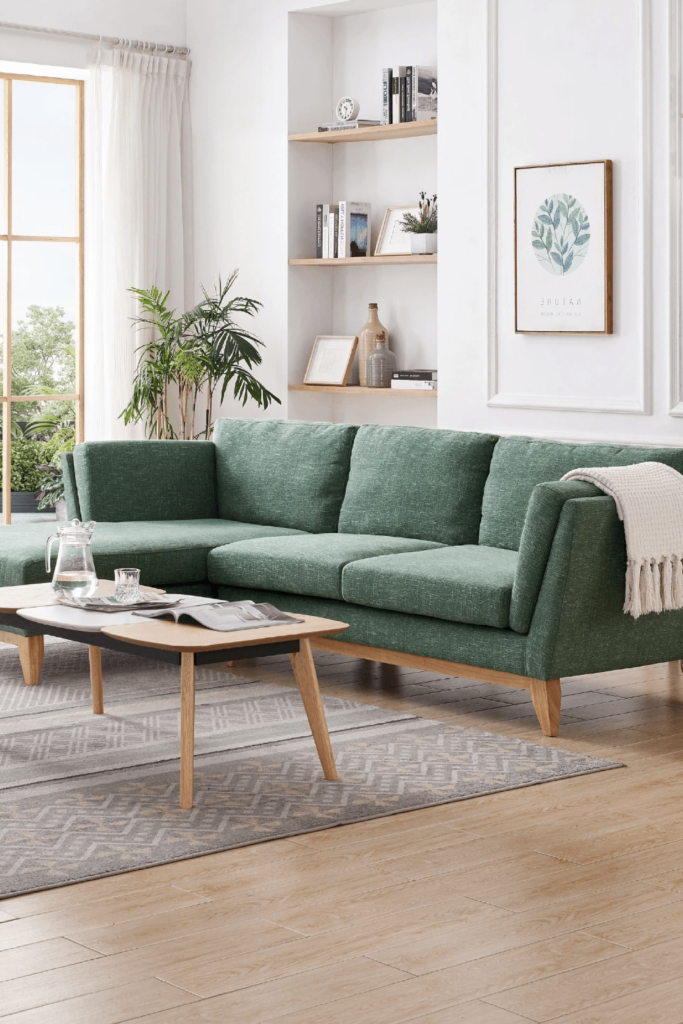 1699736428_couch-sofa-for-living-room.png